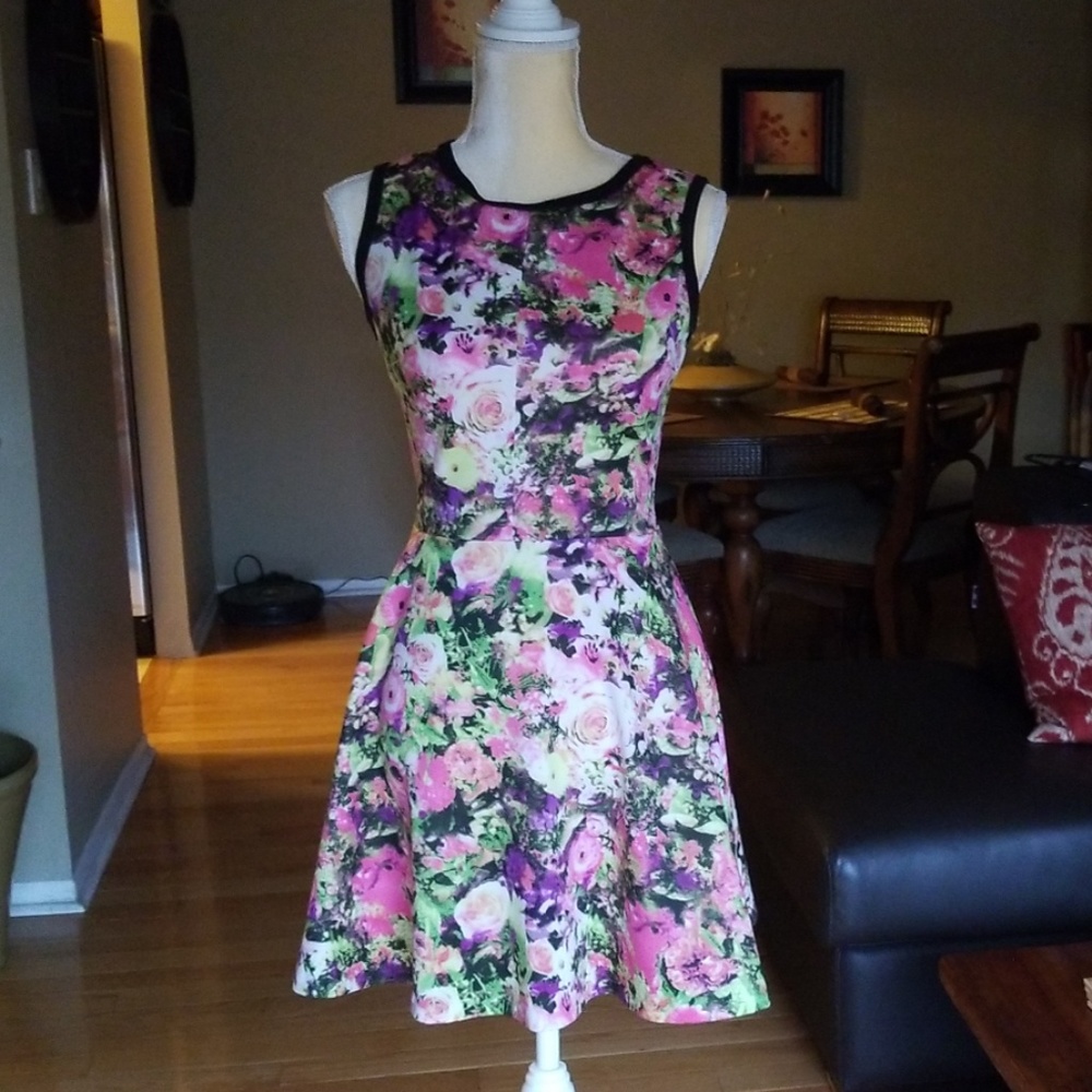 Necessary Objects fit and flare dress